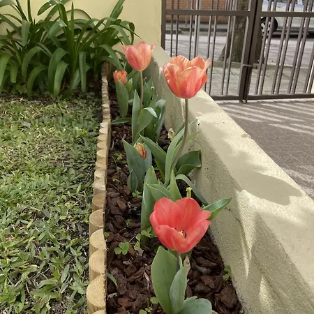 Albina's Guest House, Em Leca, A 500m Da Apartament