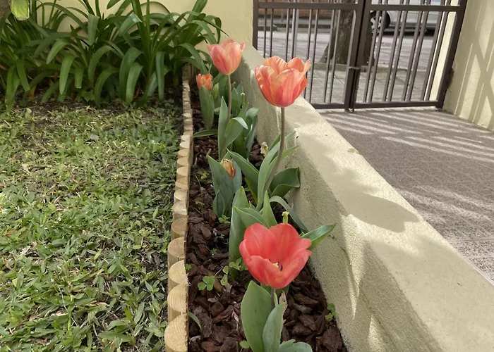 Albina's Guest House, Em Leca, A 500m Da 아파트